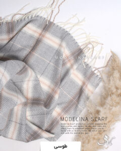 شال موهر اعلا(وارداتی)1456 طوسی