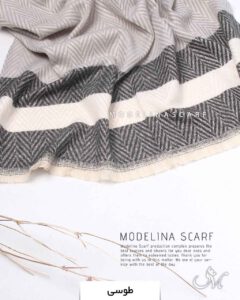 شال موهر اعلا (وارداتی)1463 طوسی